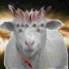 The Lamb of The Christians 2